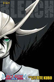 Bleach: 3-In-1 Edition 14  Tite Kubo [PB] | 9781421585314