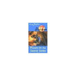 Puzzle For The Secret Seven: 10 by Blyton, Enid (ISBN: 9780340893166)