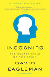 INCOGNITO - Paperback image 1