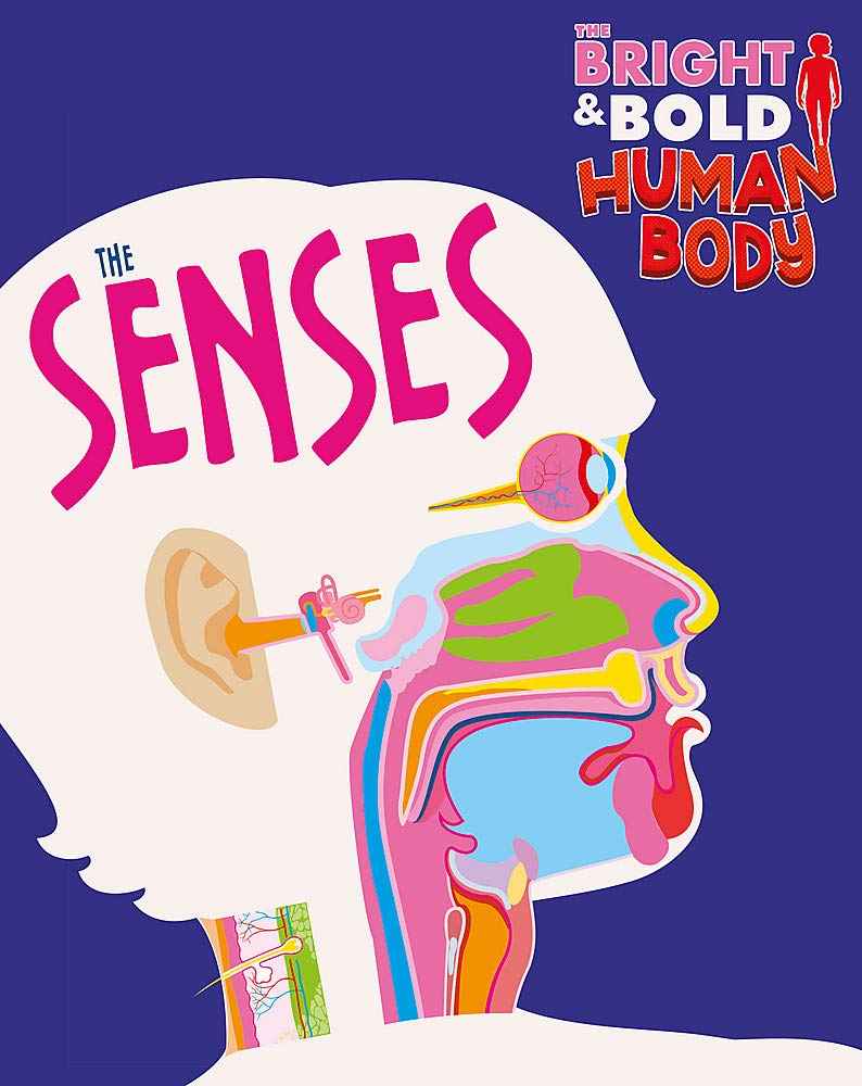 Bright & Bold Human Body The Senses by Howell, Izzi (ISBN: 9781526310439)
