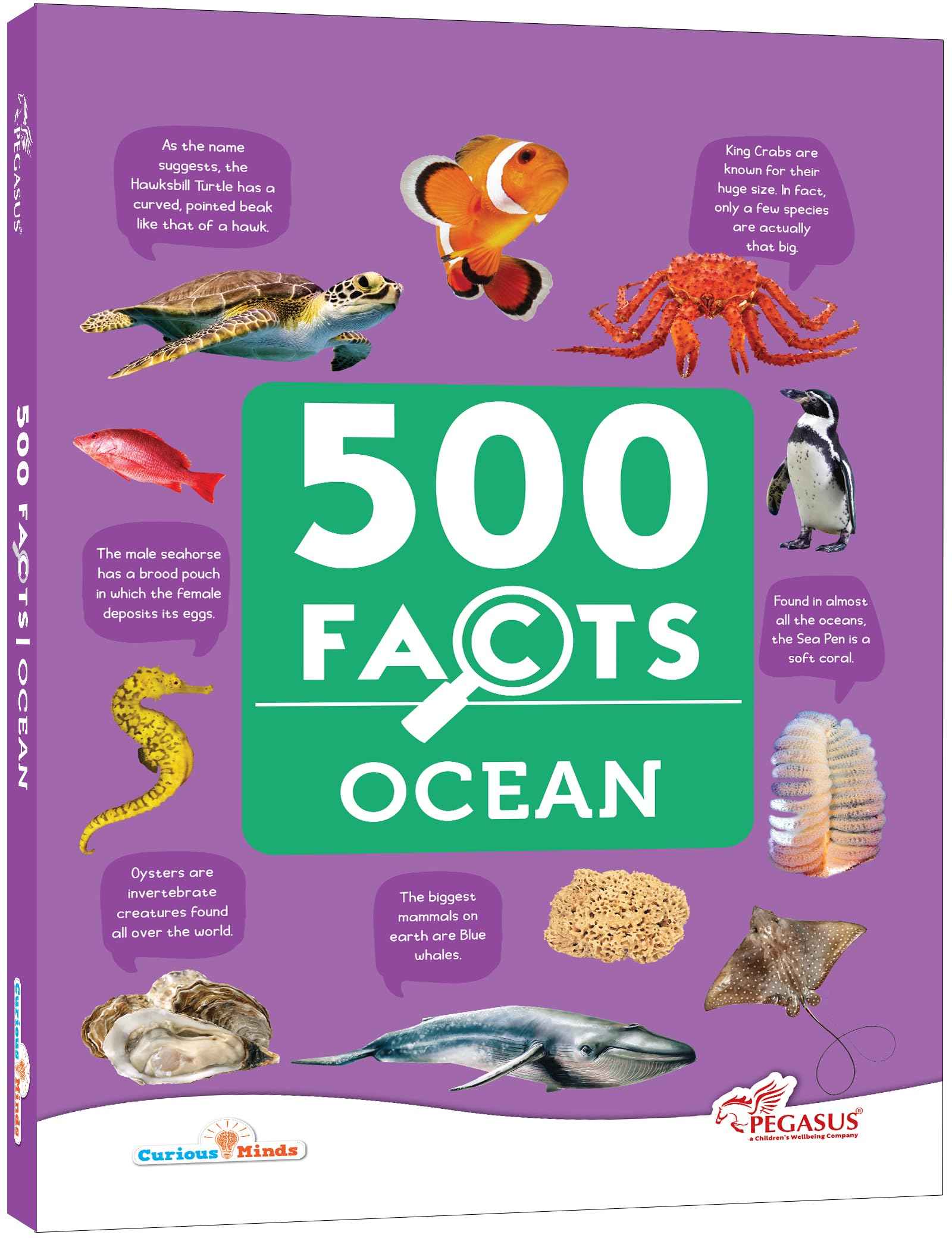 Sea World -- 500 Facts by Pegasus (ISBN: 9788131942109)