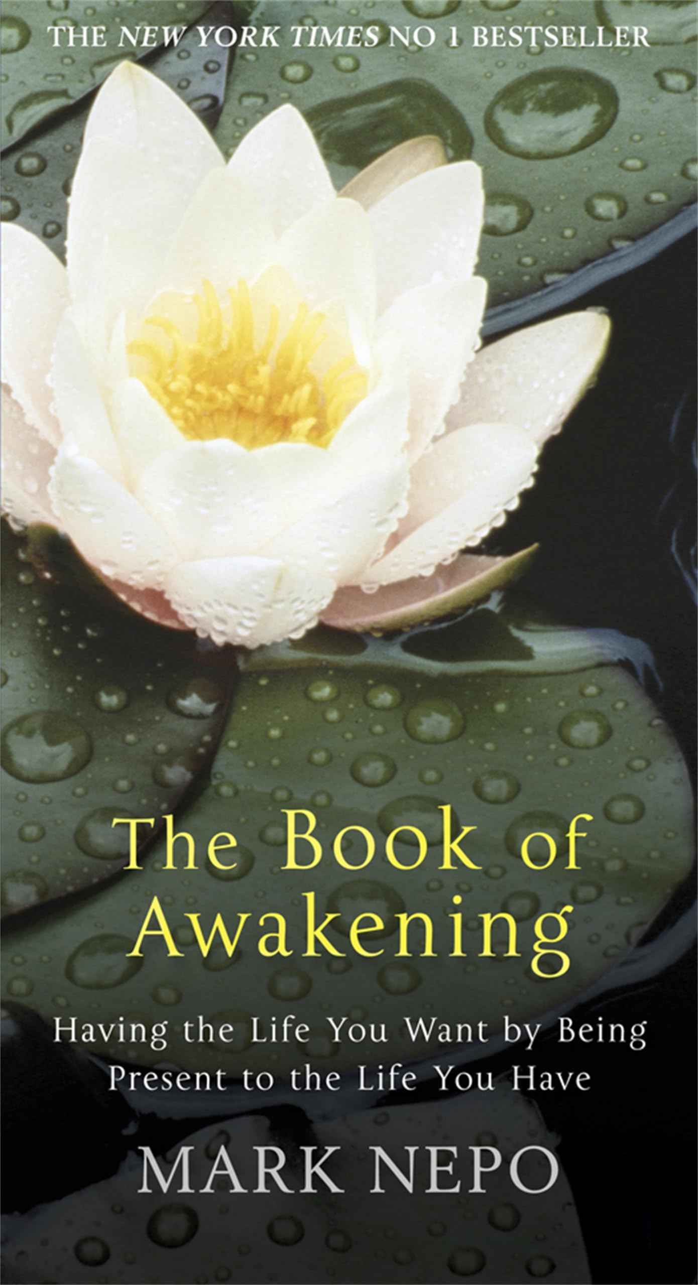 The Book of Awakening: Having the Life You Want by Being Present in the Life You Have by Nepo Mark (ISBN: 9780857386915)