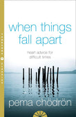 When Things Fall Apart * Paperback* image 1
