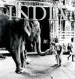 The Soul of India  (HB) – TARUN CHOPRA [HB] | 9788172341503