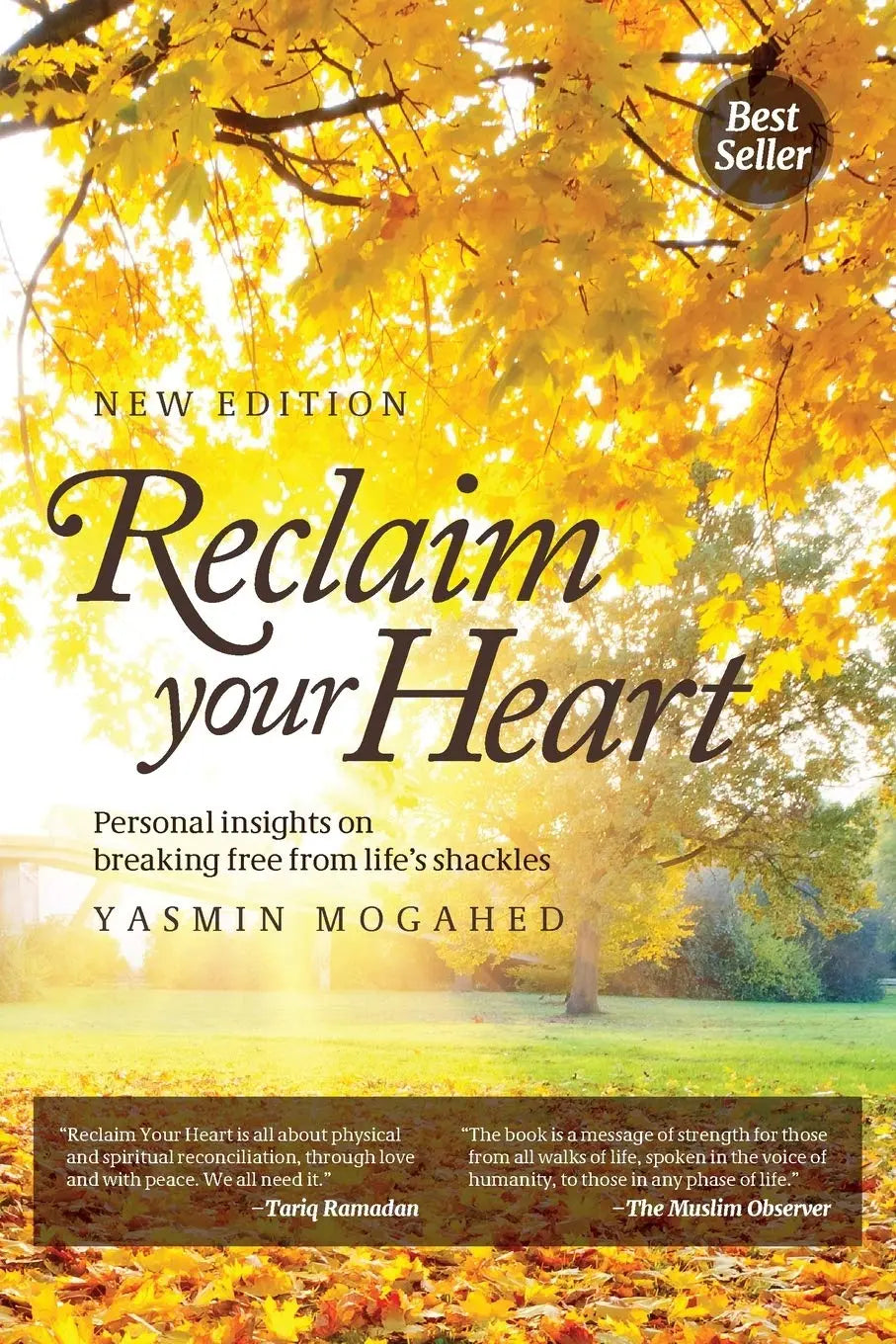 Reclaim Your Heart: +   Healing the Emptiness: Paperback image 2