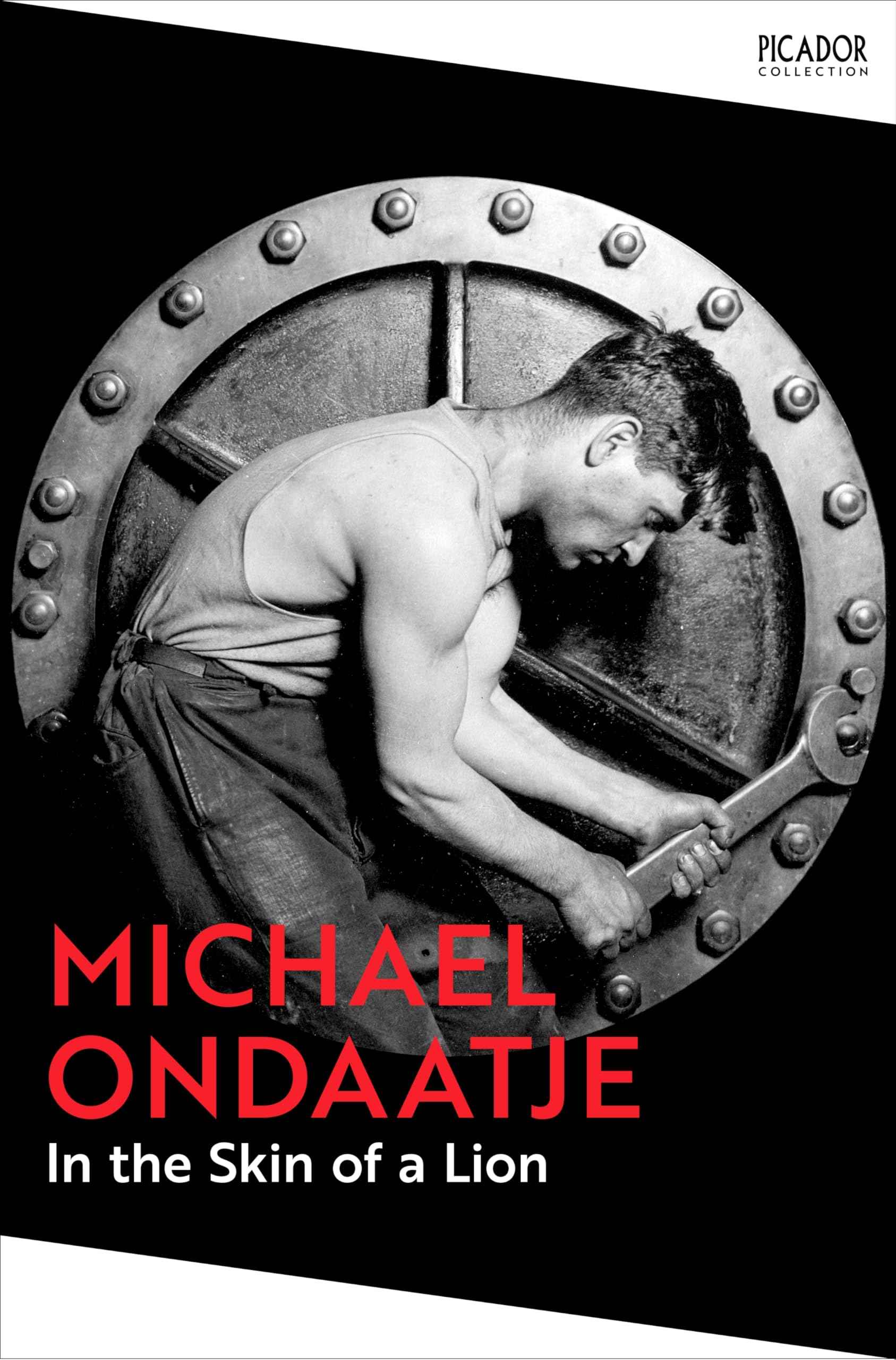 In the Skin of a Lion by Michael Ondaatje (ISBN: 9781035091362)