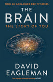 The Brain (Paperback) image 1