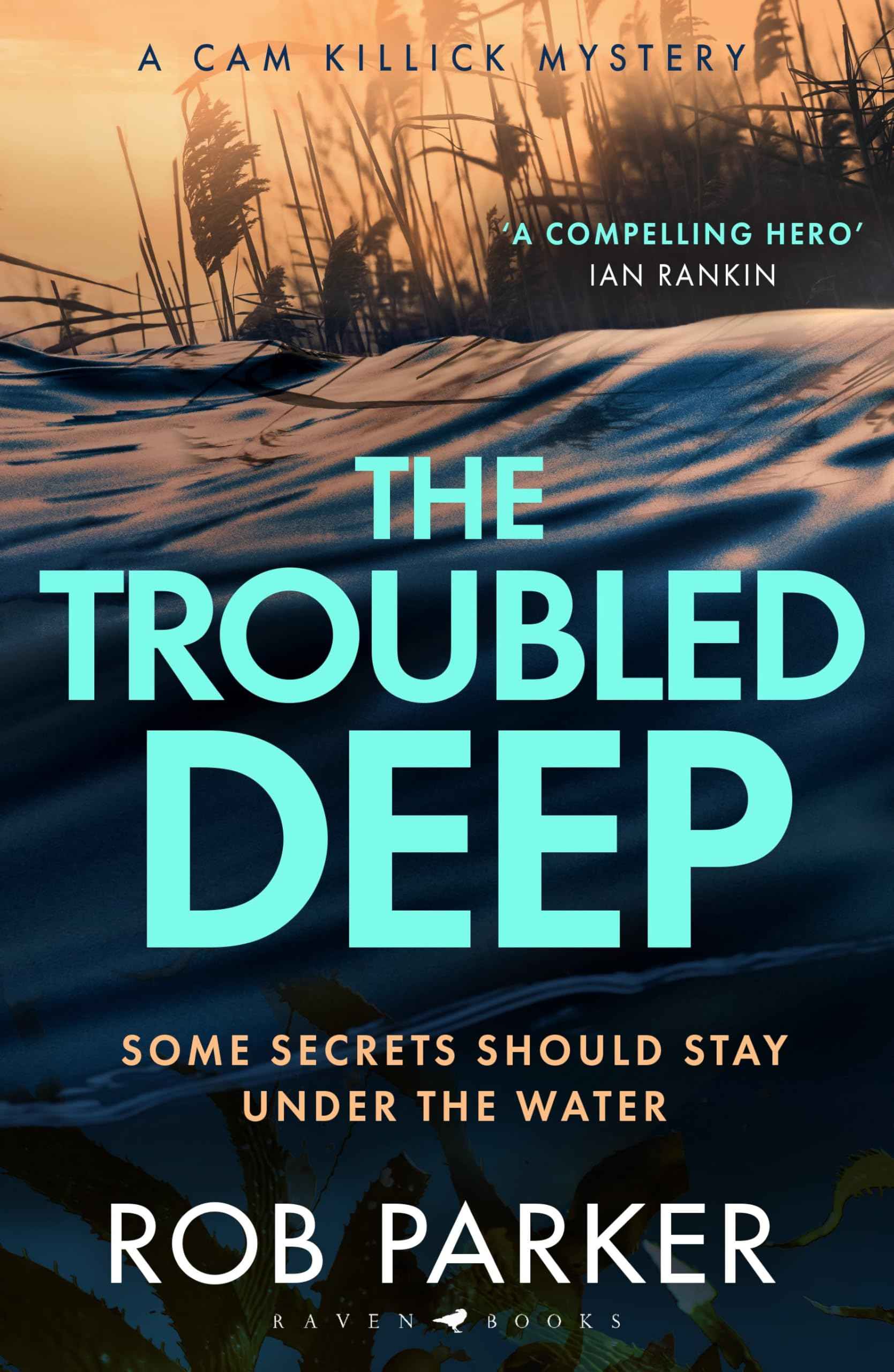 The Troubled Deep: 'The most brilliant Norfolk-set thriller since Elly Griffiths' Ruth Galloway books' Daily Mirror by Rob Parker (ISBN: 9781526681928)