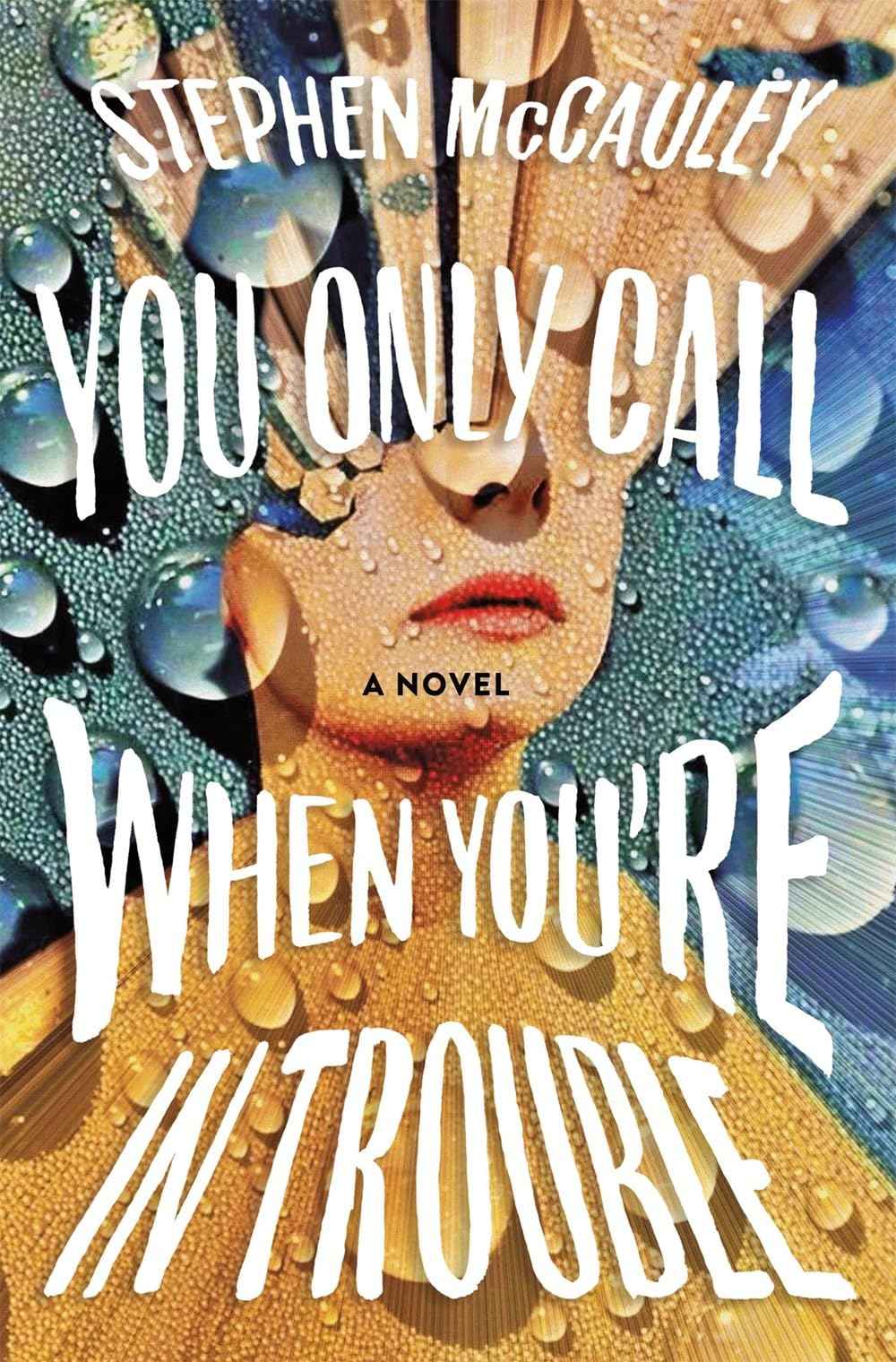 You Only Call When You're in Trouble by Stephen McCauley (ISBN: 9781250393371)