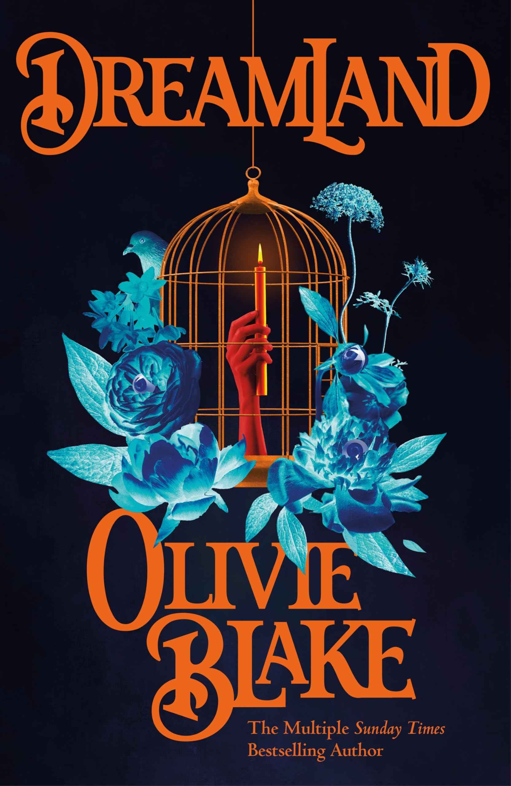 Dreamland (International Edition) by Olivie Blake (ISBN: 9781035039630)