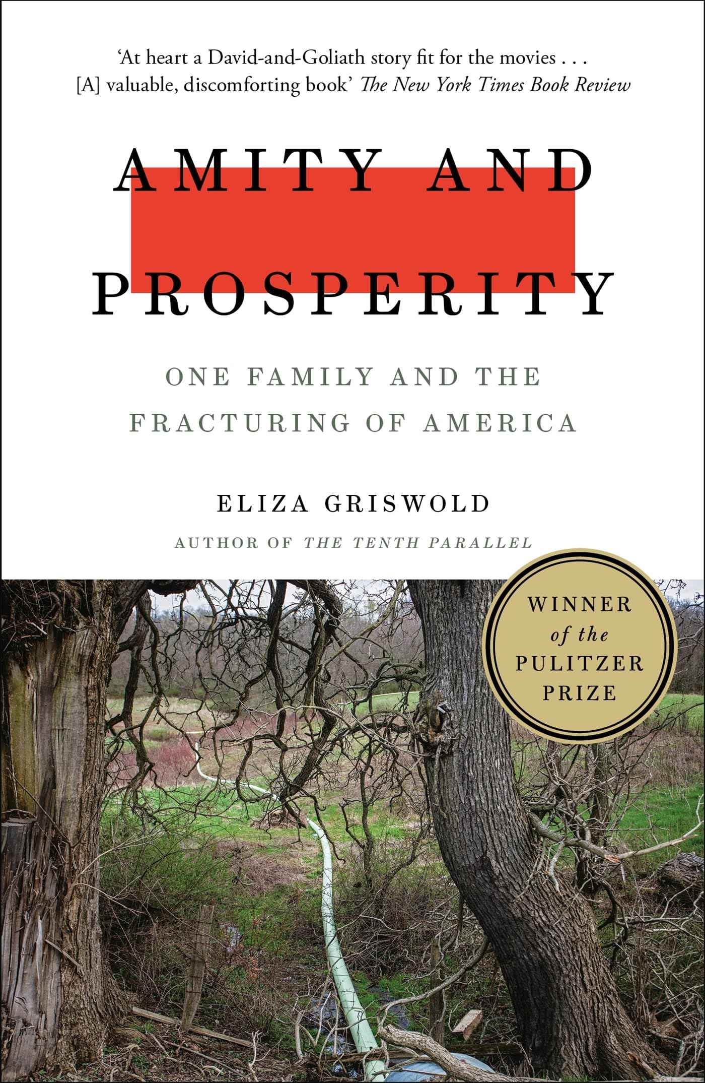 Amity and Prosperity: One Family and the Fracturing of America by Griswold Eliza (ISBN: 9781472268723)