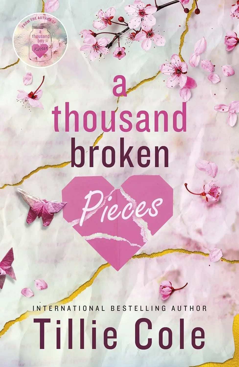 Sick Fux + A Wish For Us + A Thousand Broken Pieces  + A Thousand Boy Kisses : Paperback image 4