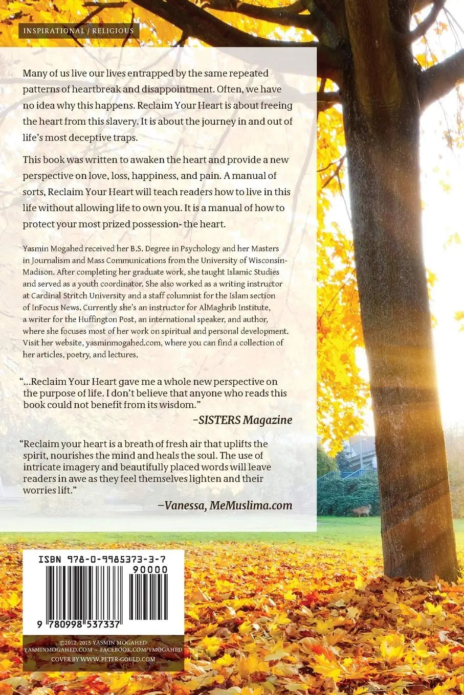 Reclaim Your Heart: +   Healing the Emptiness: Paperback image 3