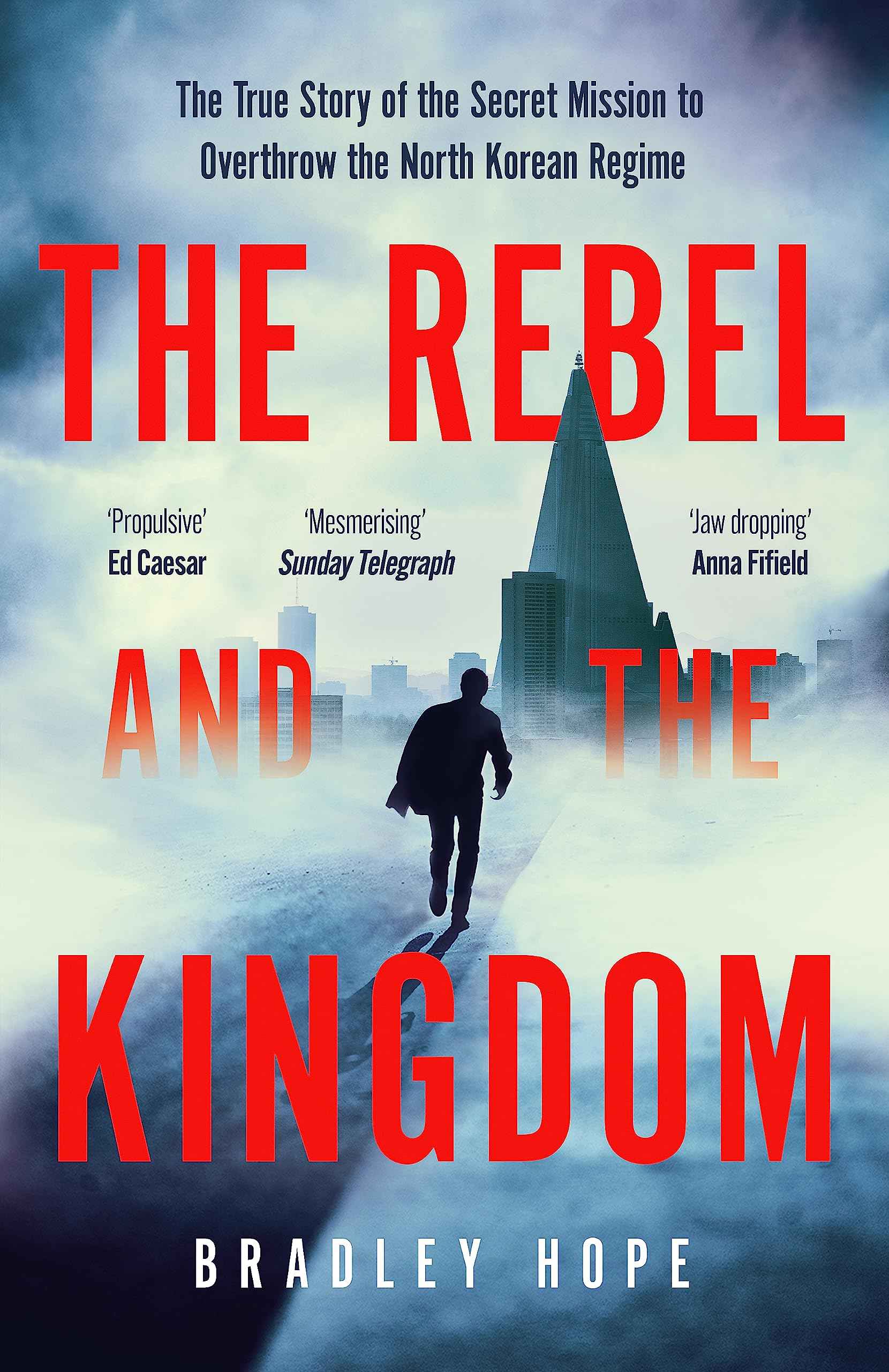 The Rebel and the Kingdom: The True Story of the Secret Mission to Overthrow the North Korean Regime by Bradley Hope (ISBN: 9781399806190)