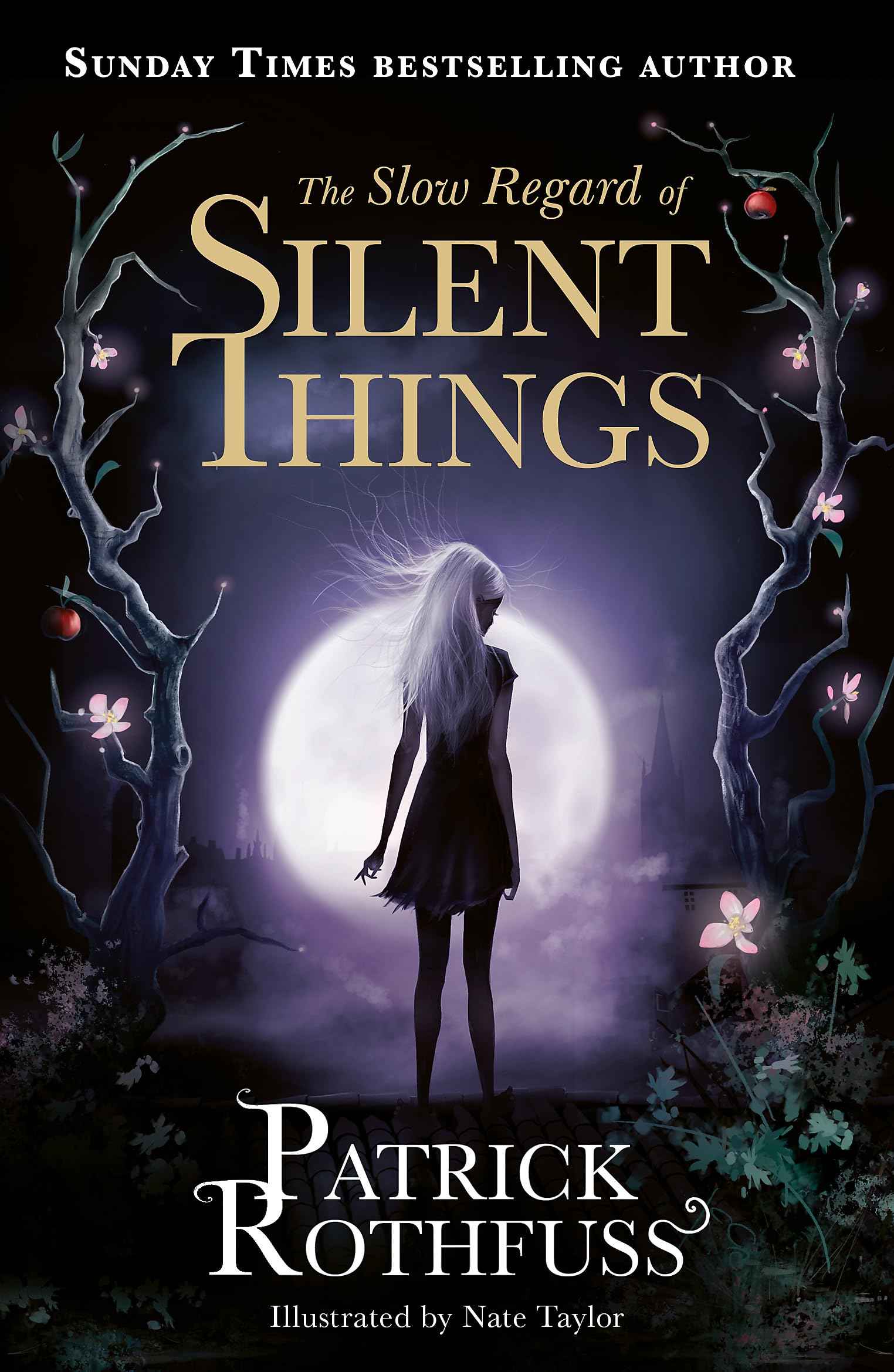The Slow Regard of Silent Things: A Kingkiller Chronicle Novella Patrick Rothfuss by Patrick Rothfuss - Paperback (ISBN: 9781473209336)