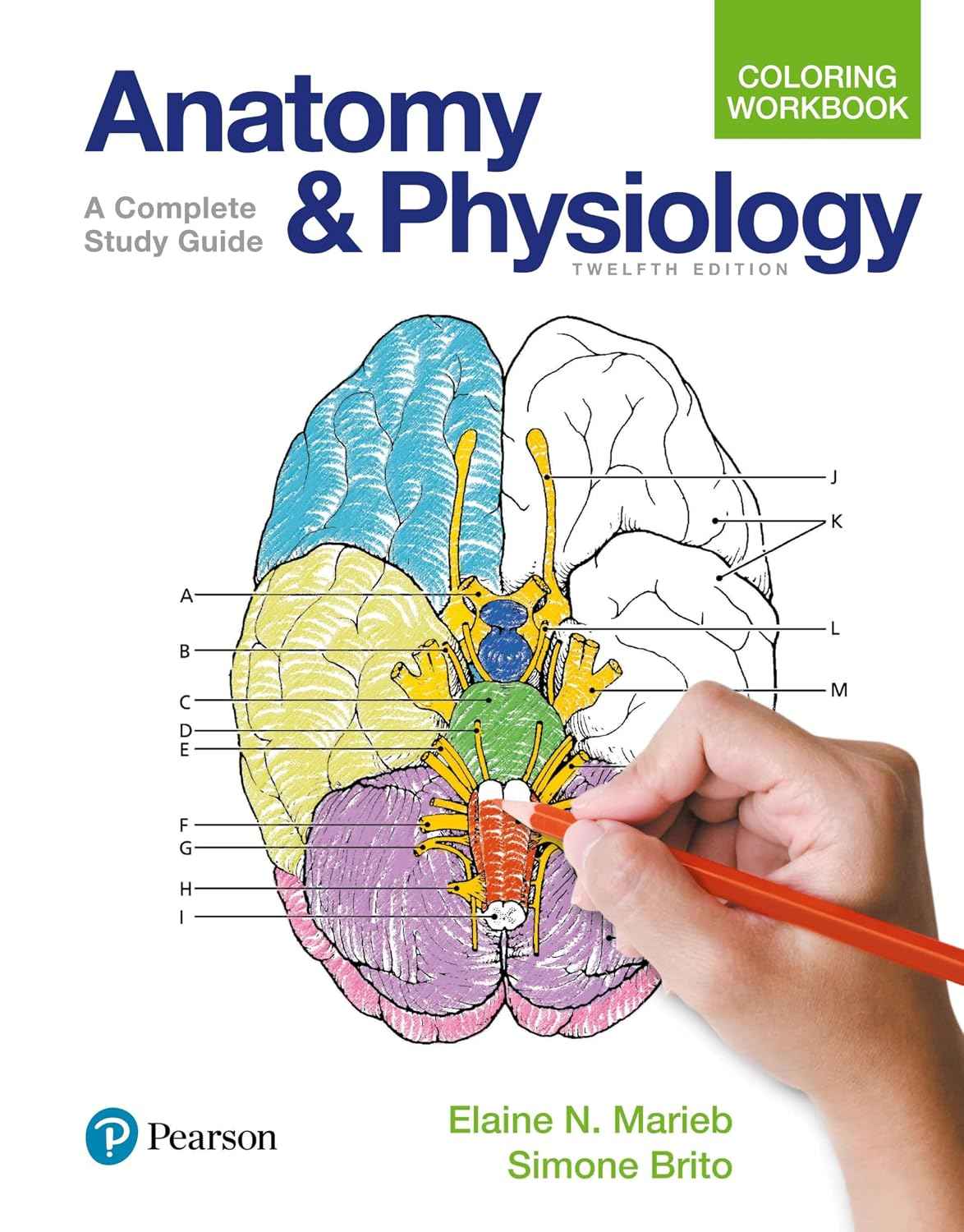 Anatomy and Physiology Coloring Workbook: A Complete Study Guide