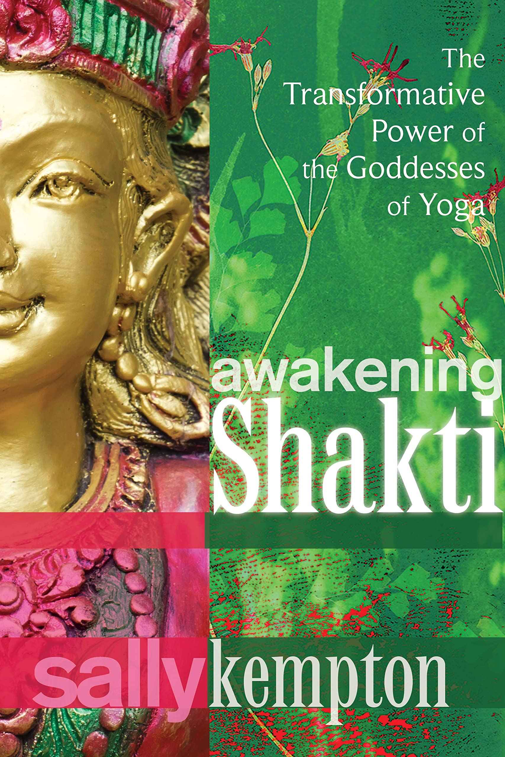 Awakening Shakti: The Transformative Power of the Goddesses of Yoga by Sally Kempton (ISBN: 9781604078916)