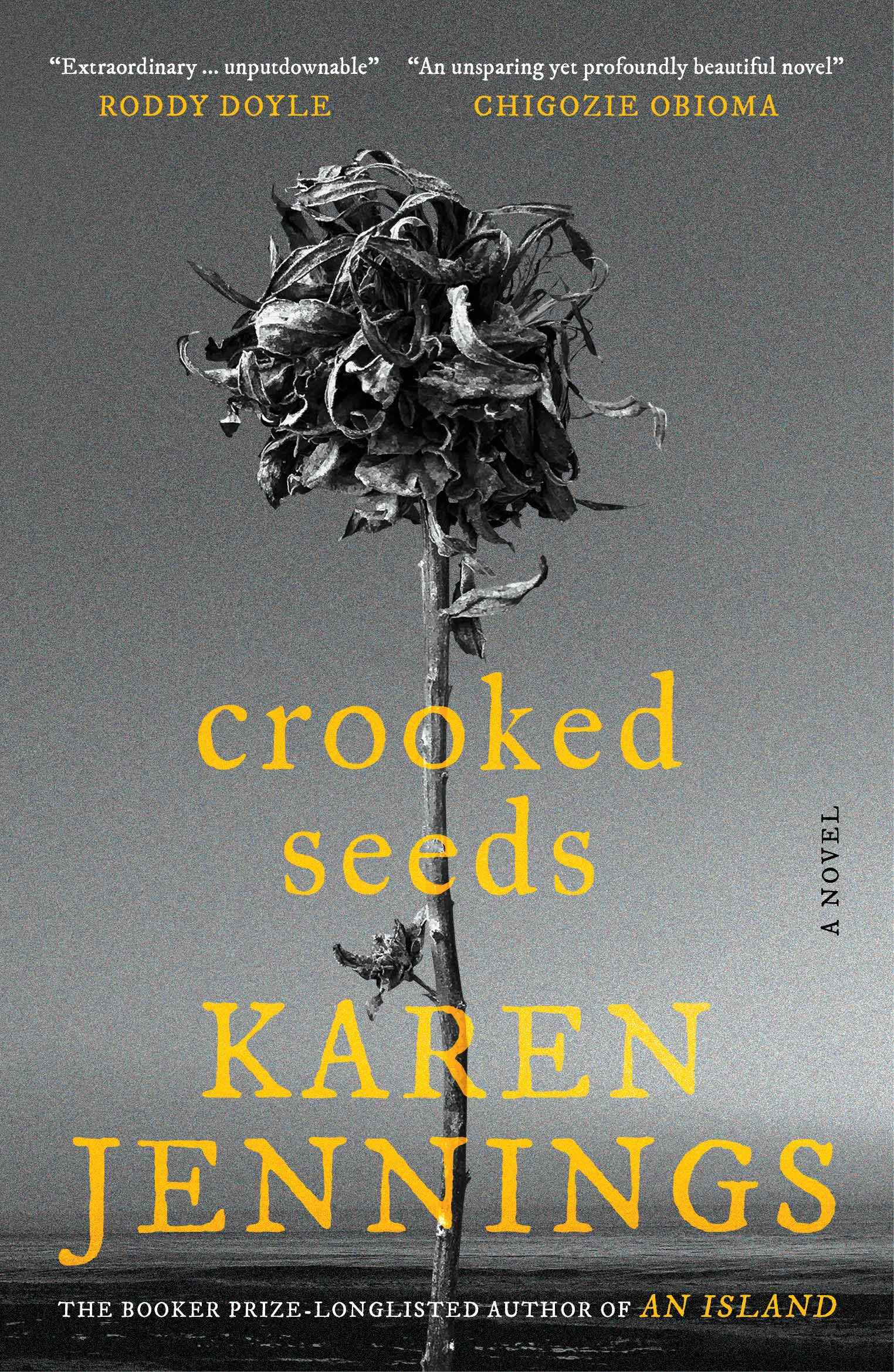 Crooked Seeds by Karen Jennings (ISBN: 9789361135743)