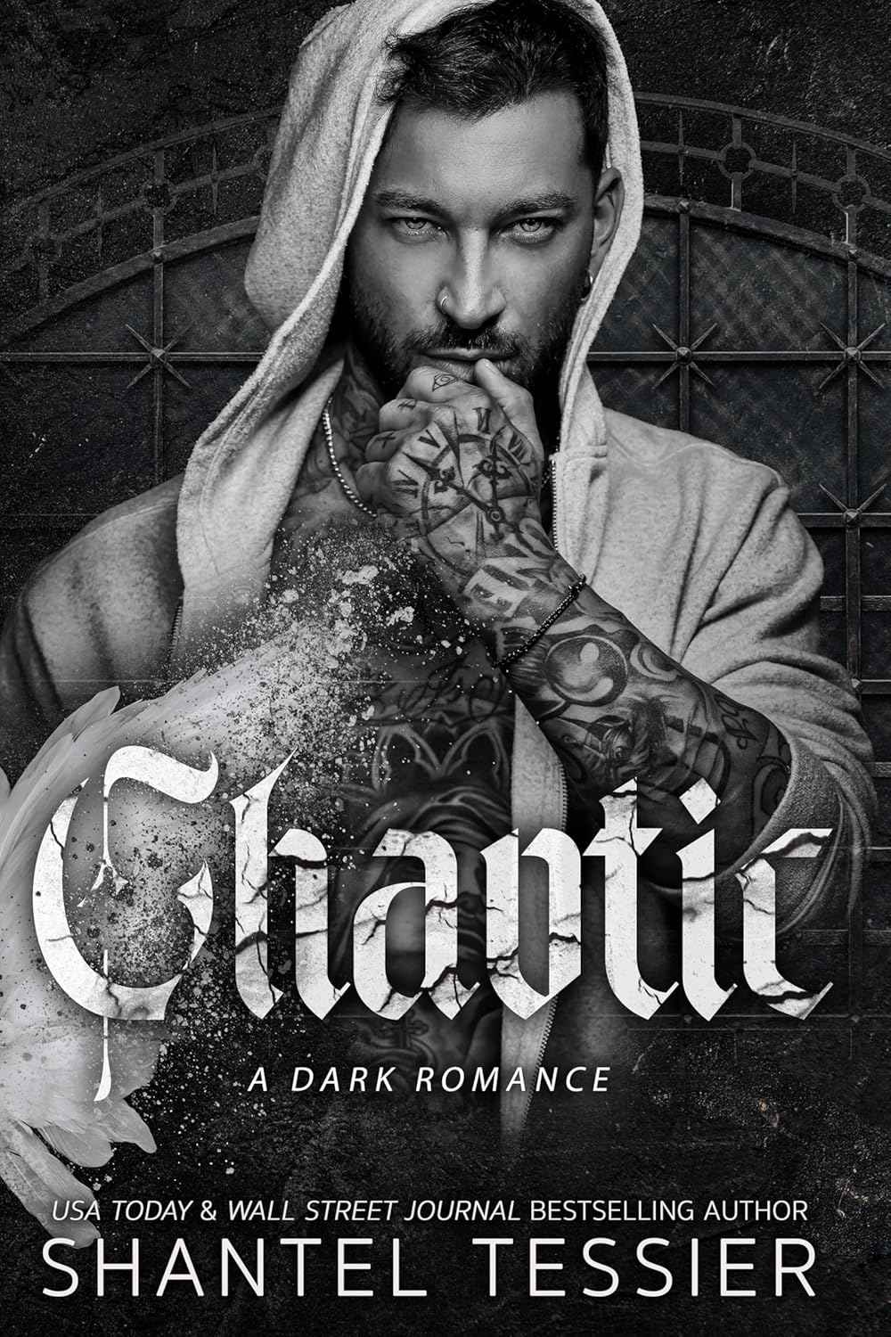 Chaotic: A Dark Romance by Shantel Tessier
