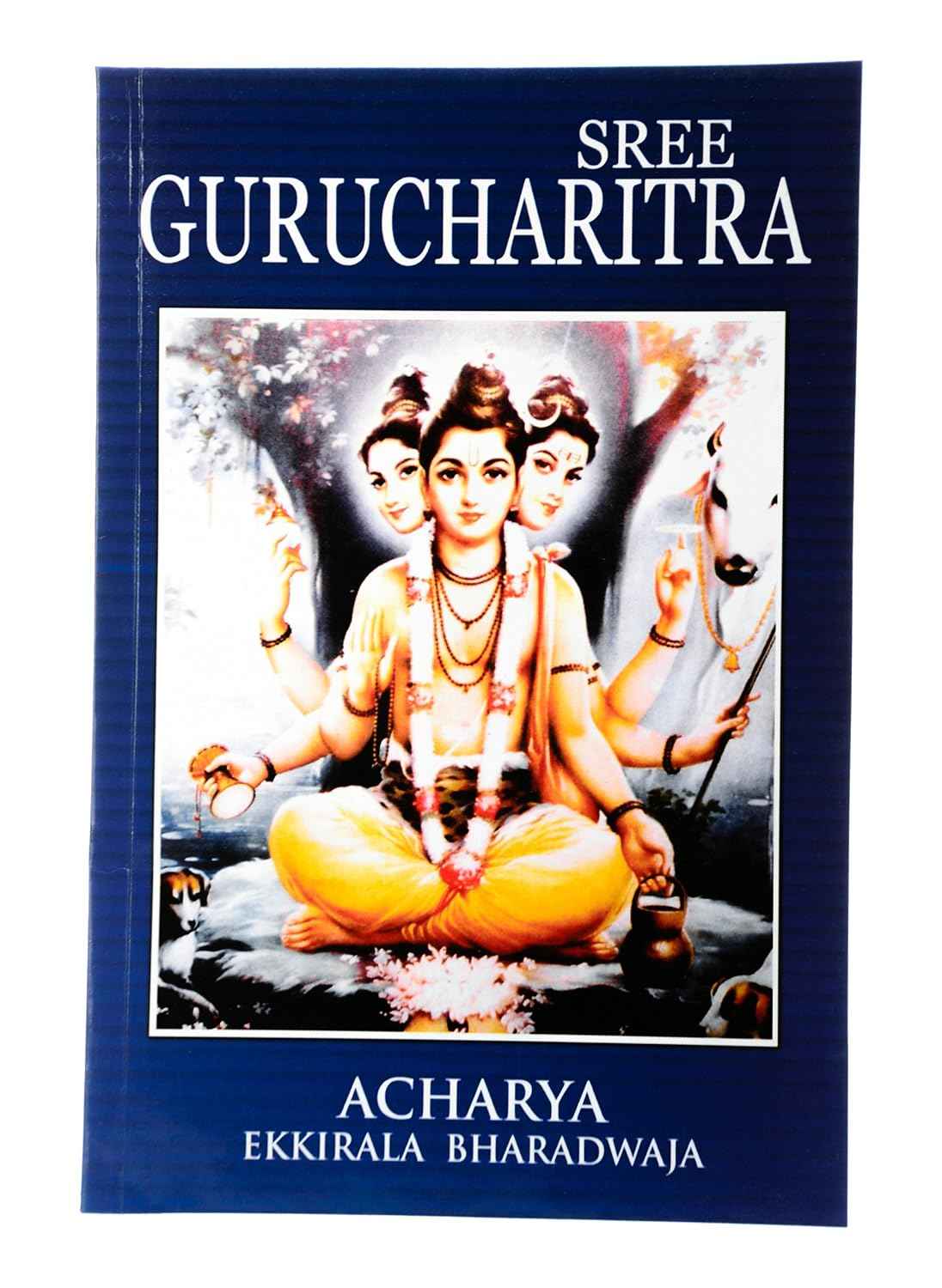 Sree Guru Charithra (English)