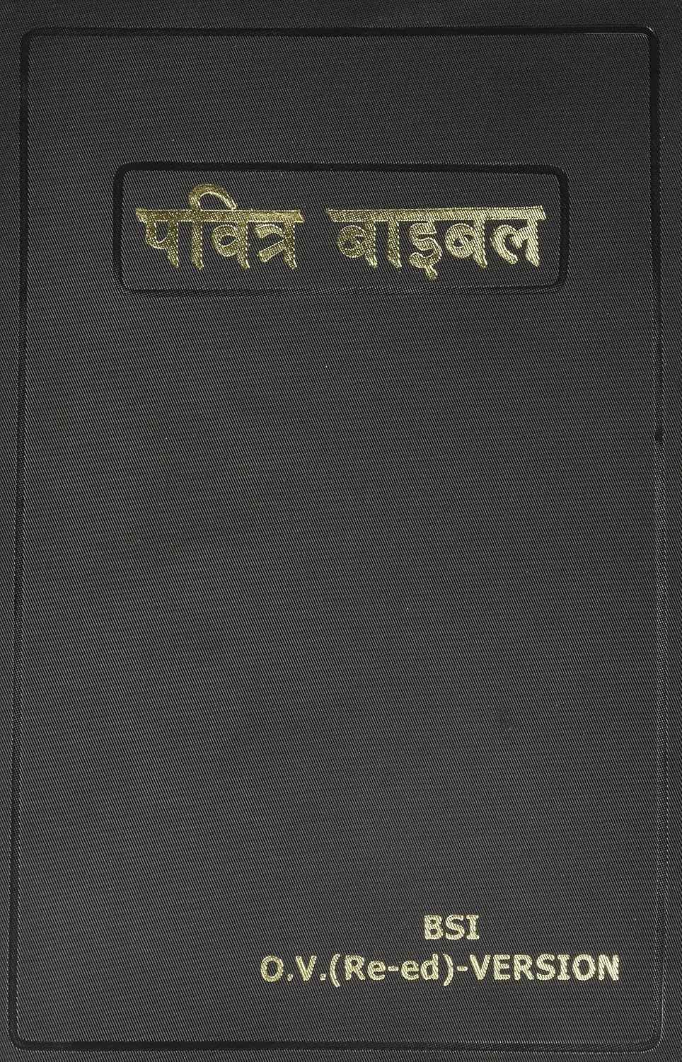 Hindi Bible (Hindi Edition)