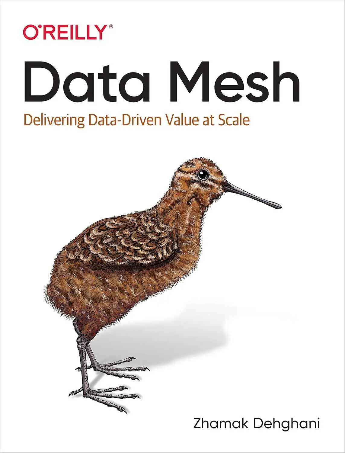 Data Mesh: Delivering Data-Driven Value at Scale by Zhamak Dehghani |978-1492092391