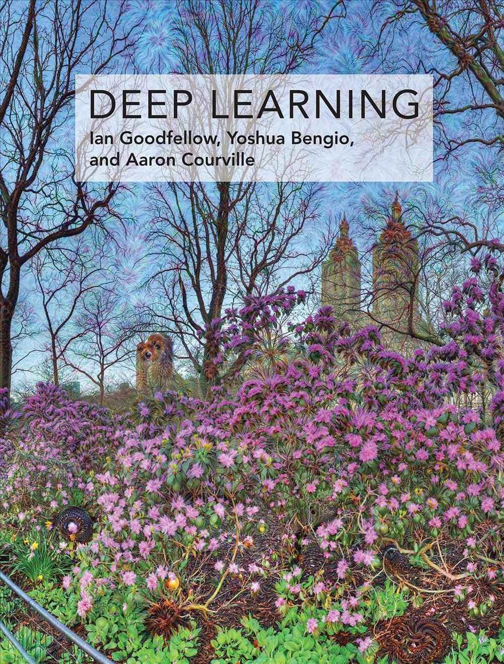 Deep Learning (Adaptive Computation and Machine Learning series) | Paperback