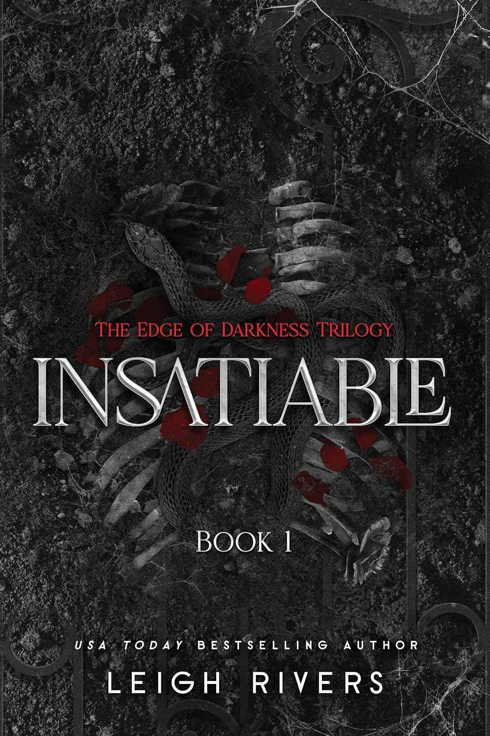 Insatiable: The Edge of Darkness Trilogy by Leigh Rivers – Paperback (ISBN: 9781638935469)
