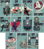 Spy X Family. Volume (1-11) Books set, Collection Set by Tatsuya Endo Paperback bookcover – Nybookshub