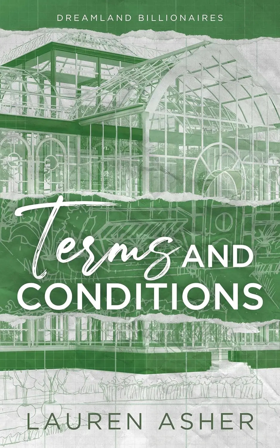 Terms and Conditions by Lauren Asher book cover at Nybookshub