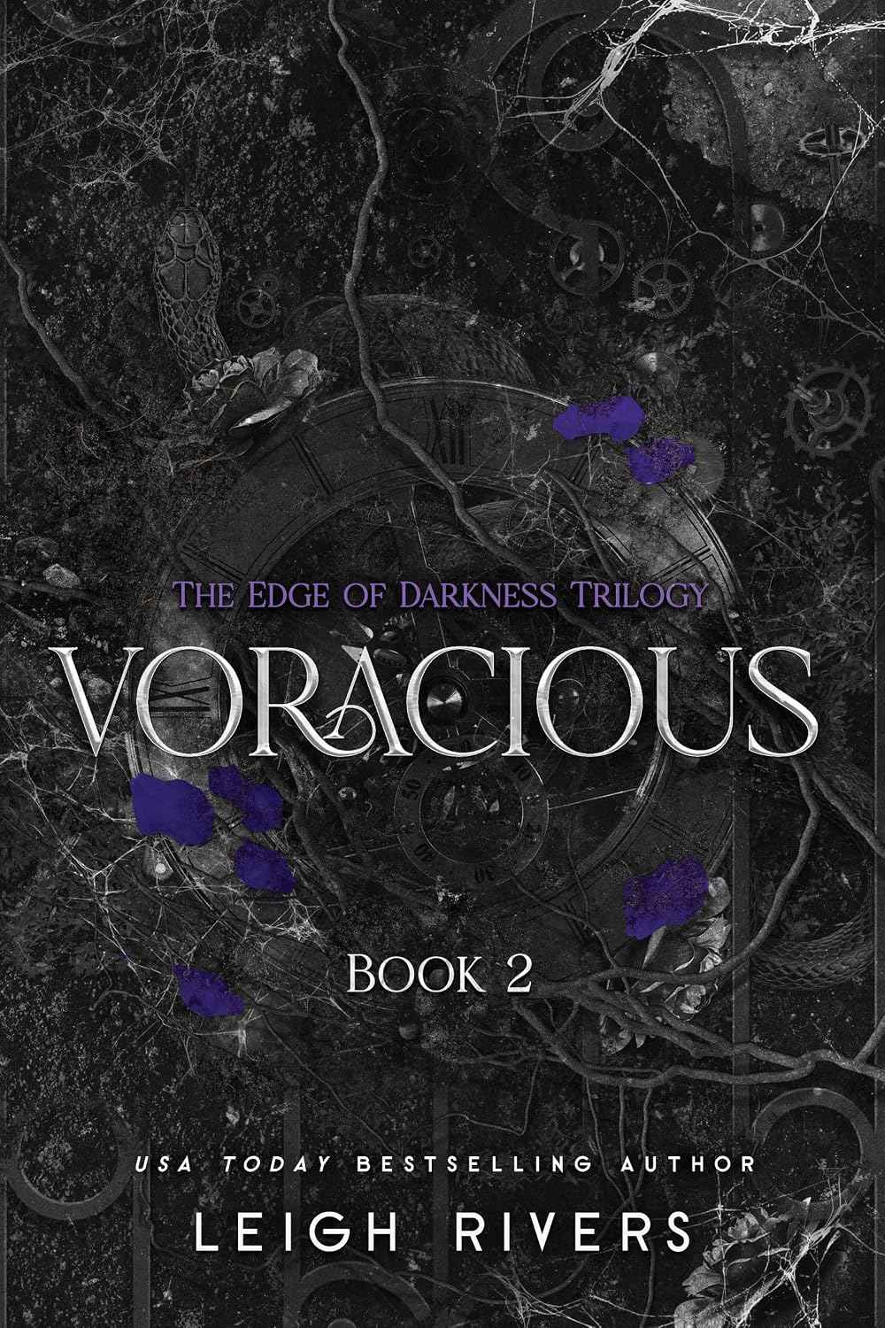 Voracious: The Edge of Darkness Trilogy by Leigh Rivers – Paperback (ISBN: 9781638935476)